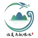 网动视频会议